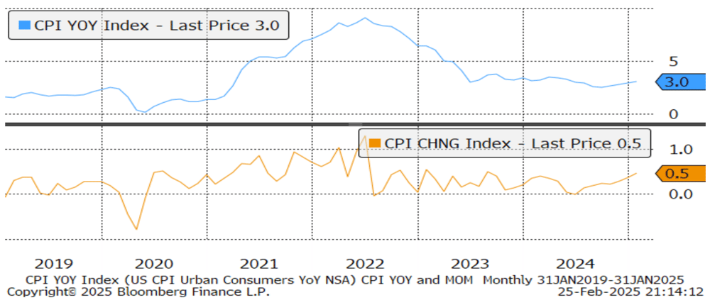 CPI-YOY-Index-Commentary-February-2025