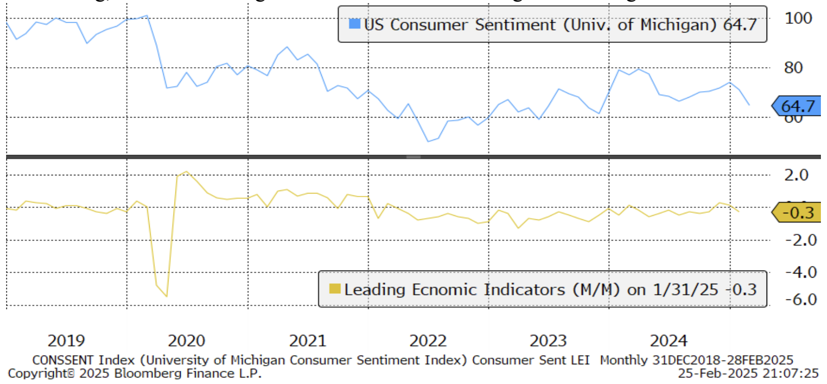 US-Consumer-Commentary-February-2025